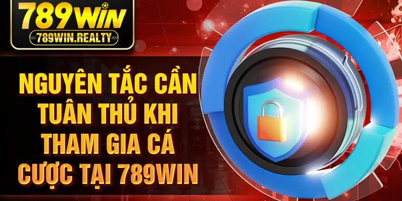 Nguyên tắc cần tuân thủ khi tham gia cá cược tại 789Win